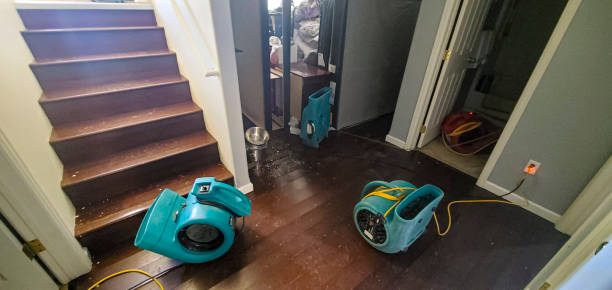 Best Professional water damage repair  in Questa, NM