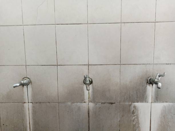 Best Commercial water damage restoration  in Questa, NM
