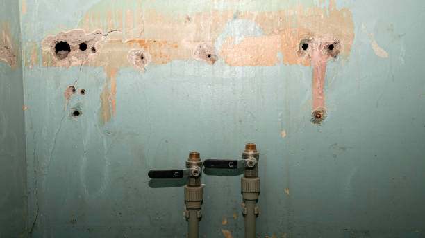 Best Carpet water damage restoration  in Questa, NM