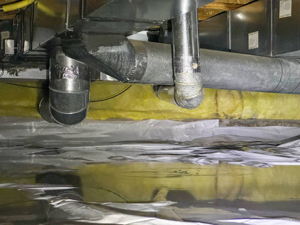 Sewage cleanup and water damage restoration in NM
