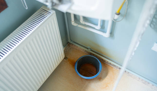 Best Basement water damage restoration  in Questa, NM