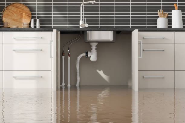 Best Water damage cleanup near me  in Questa, NM